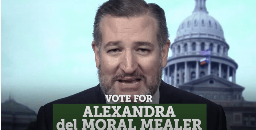 Senator Ted Cruz Endorses Alexandra del Moral Mealer for Harris County Judge