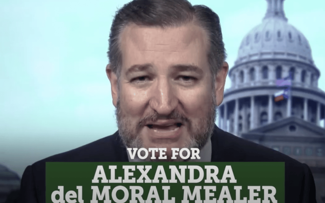 Senator Ted Cruz Endorses Alexandra del Moral Mealer for Harris County Judge