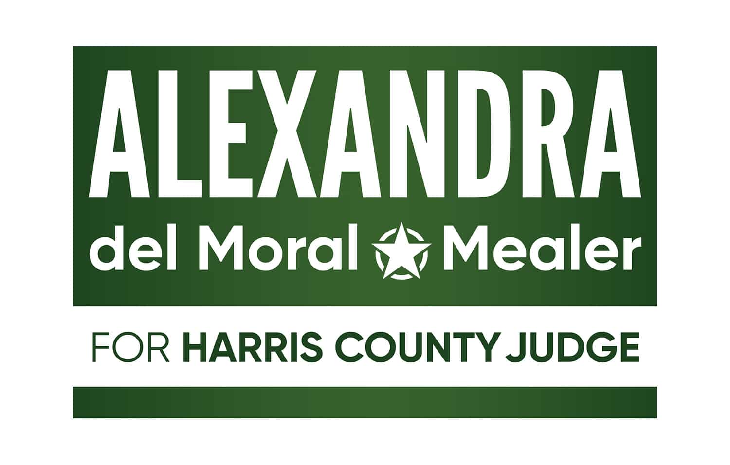 Alexandra del Moral Mealer For Harris County Judge